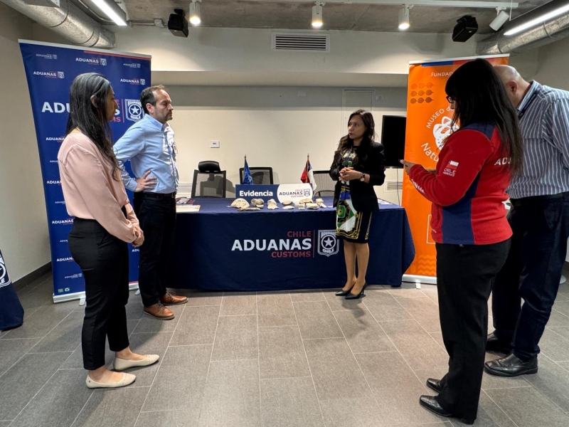  Imágen 5 - Galería