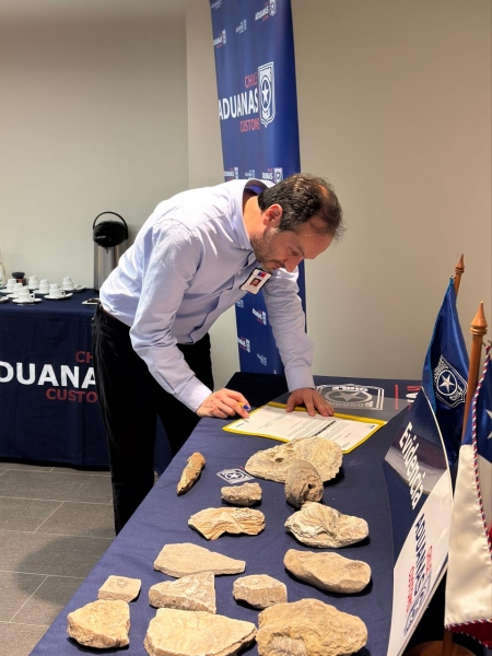  Imágen 2 - Galería