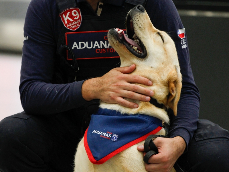  Imágen 6 - Galería