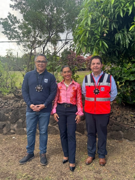  Imágen 3 - Galería