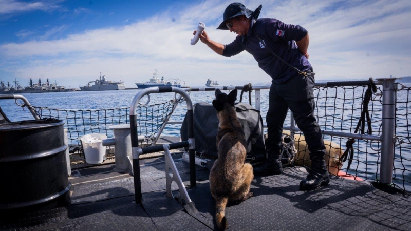  Imágen 3 - Galería